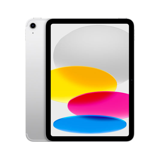 iPad Wi-Fi + Cellular 256 GB - Silber (A16)