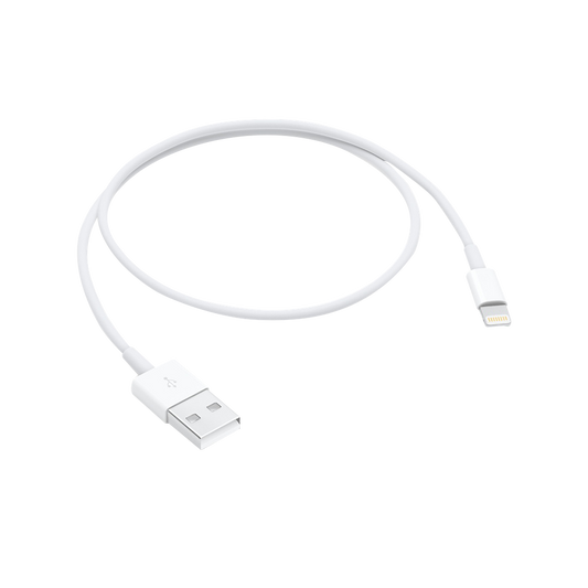 Apple Lightning auf USB Kabel (0,5 m)